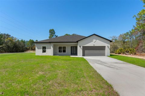 Photo of 10516 Caldera Ave Ave N, Citrus Springs, FL 34433 (MLS # O6381243)