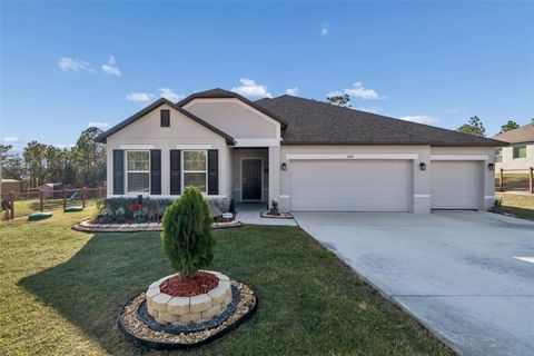 Photo of 16301 Greenback Rd, Weeki Wachee, FL 34614 (MLS # TB8486974)