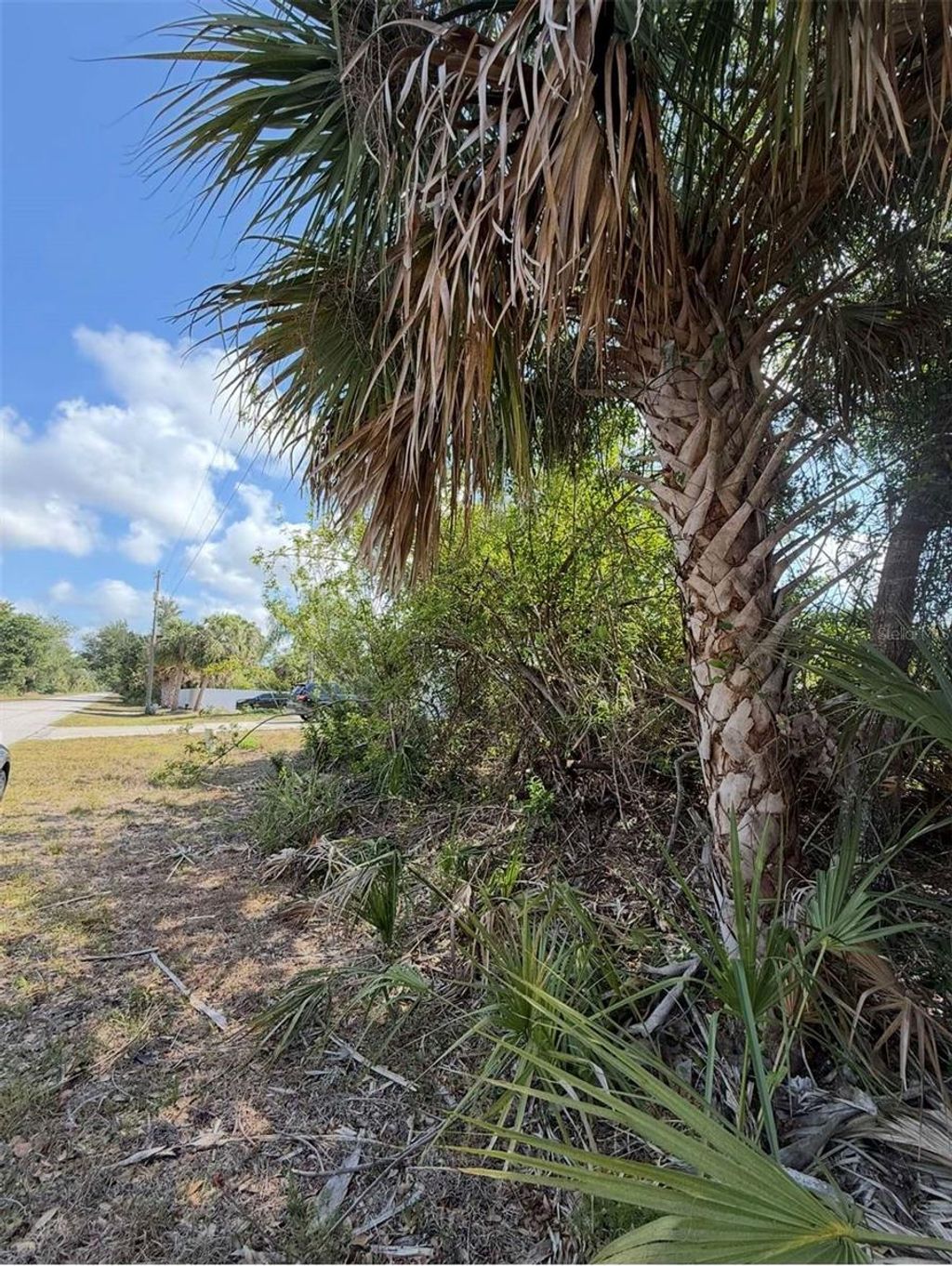 Photo of 404 Barger Drive, Port Charlotte, FL 33954 (MLS # A4655926)