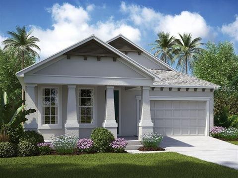 A home in APOLLO BEACH