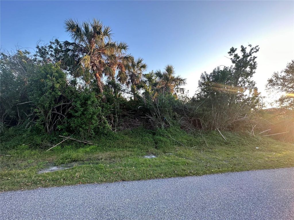 Photo of 919 Webster Avenue NW, Port Charlotte, FL 33948 (MLS # C7503317)