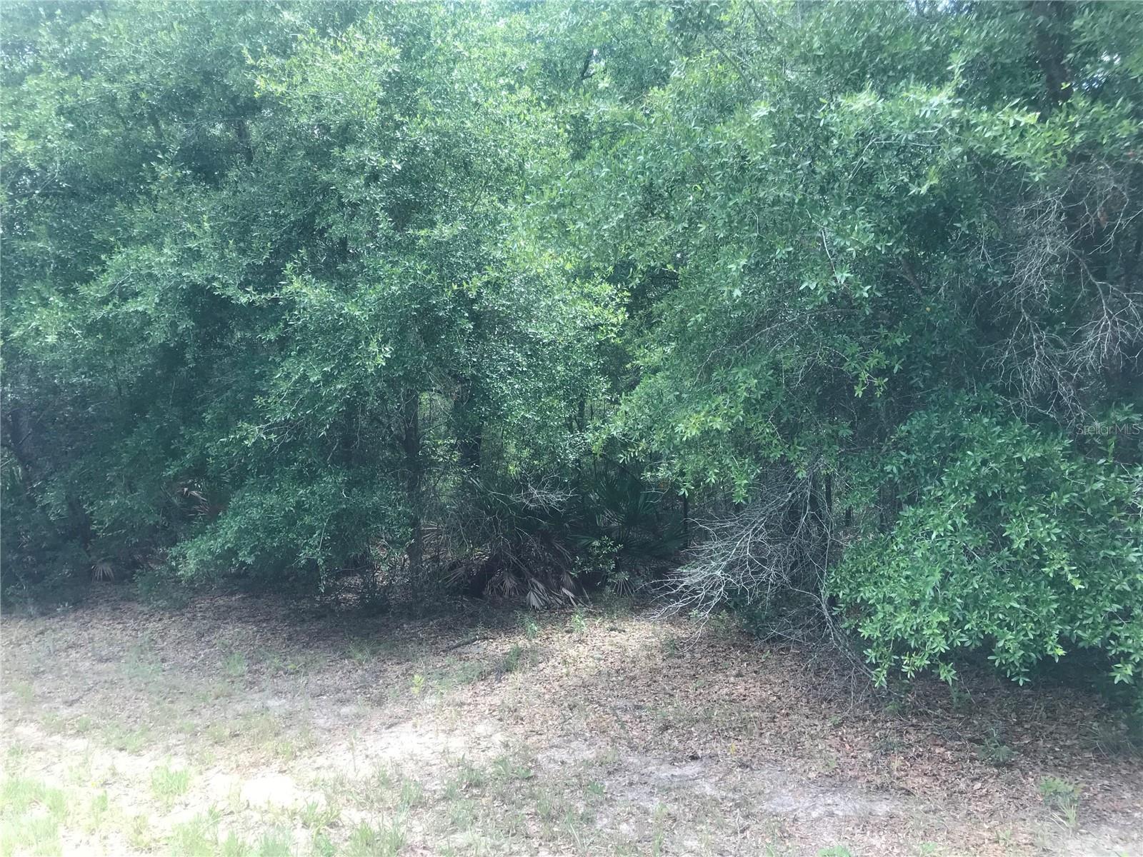 CITRUS SPGS UNIT 03 - Land