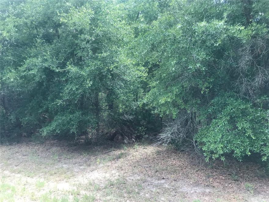 Discover your slice of paradise in the heart of Citrus Springs, FL! This exceptional, high and dry lot offers the perfect canvas for your dream home or a savvy investment. with Citrus Springs Golf and Country Club just a 5 minute drive away. Enjoy the peace of mind that comes with NO HOA fees. Nestled on a paved road with utilities nearby in a growing community and new construction everywhere adds to the list of benefits this lot has to offer. Citrus Springs offers a fantastic lifestyle with a golf course, restaurants and everyday conveniences nearby. Just a short drive to the enchanting Rainbow River in historic Dunnellon, where you can enjoy kayaking, snorkeling, swimming, tubing, and even manatee sightings! Rails to Trails biking trails and the Withlacoochee State Trail are also close by for outdoor enthusiasts. Experience the best of Florida living with easy access to Crystal River and the Gulf Coast (approx. 25 miles), and just 20 minutes to Ocala, home to the renowned World Equestrian Center (WEC) with its horse shows, concerts, and endless events. Commuting is a breeze with Orlando and Tampa within easy reach. Seize this opportunity to build your future in beautiful Citrus Springs!