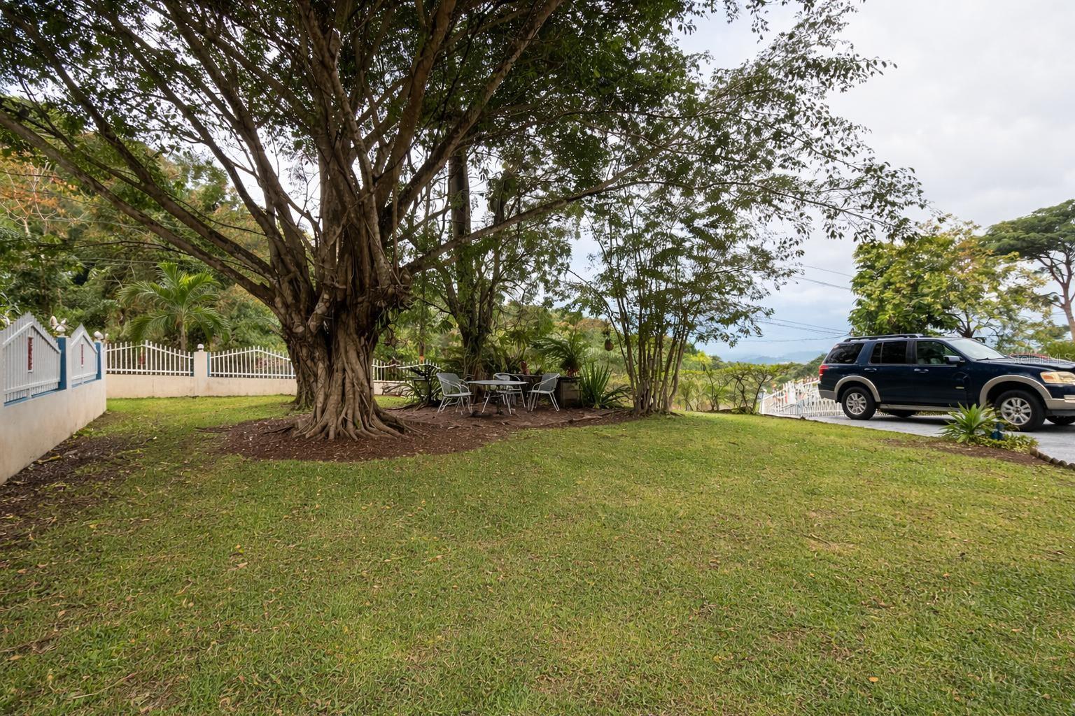 BUENA VISTA WARD - Residential