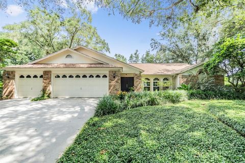 A home in VALRICO