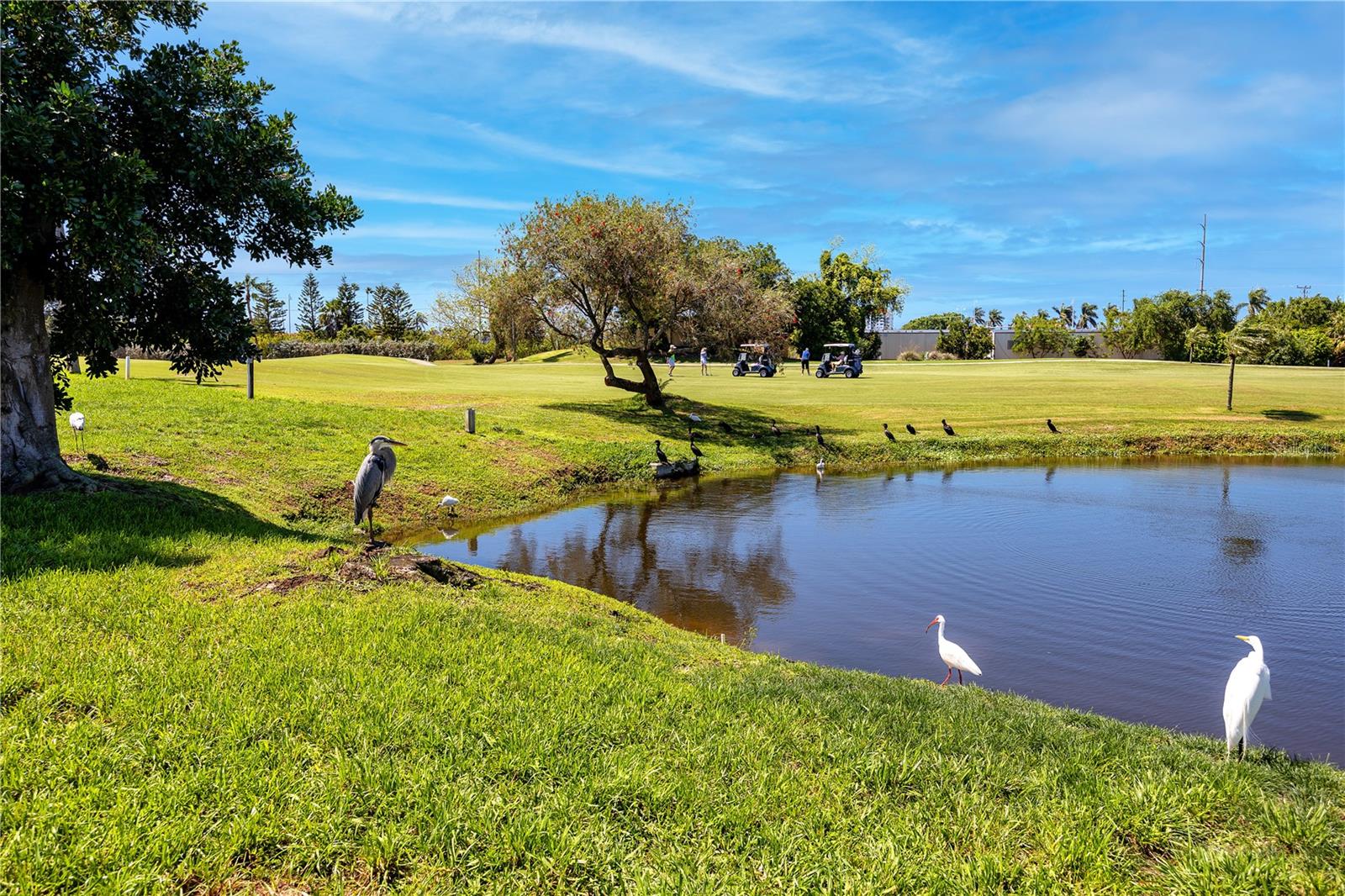 PALMA DEL MAR I - Residential