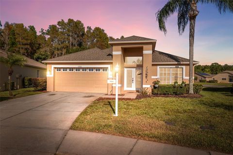 Photo of 1201 Dustan Place, Trinity, FL 34655 (MLS # W7880565)