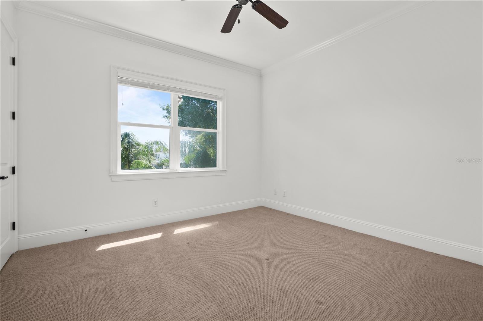 DAVIS ISLANDS - Residential