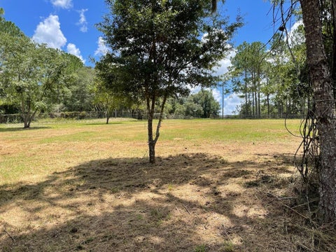 Tiny photo for Calhoun Road, Eustis, FL 32726 (MLS # O6446438)