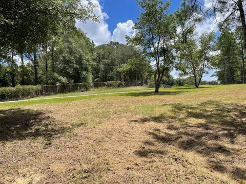 Tiny photo for Calhoun Road, Eustis, FL 32726 (MLS # O6446438)