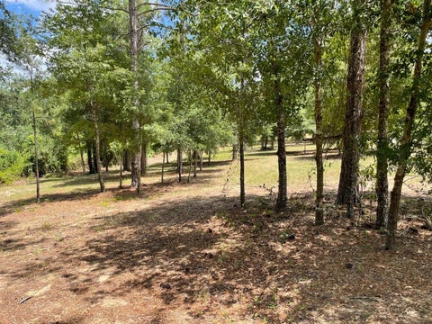 Tiny photo for Calhoun Road, Eustis, FL 32726 (MLS # O6446438)