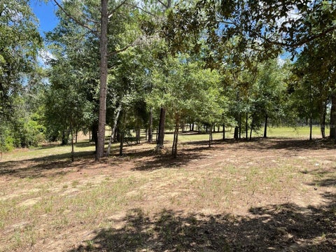 Tiny photo for Calhoun Road, Eustis, FL 32726 (MLS # O6446438)