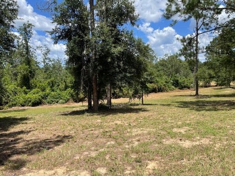 Tiny photo for Calhoun Road, Eustis, FL 32726 (MLS # O6446438)