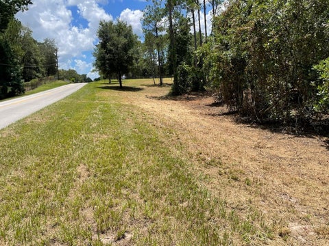 Tiny photo for Calhoun Road, Eustis, FL 32726 (MLS # O6446438)