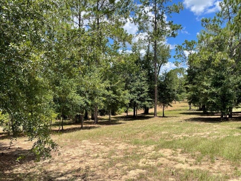 Photo of Calhoun Road, Eustis, FL 32726 (MLS # O6446438)