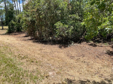 Tiny photo for Calhoun Road, Eustis, FL 32726 (MLS # O6446438)