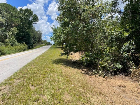 Tiny photo for Calhoun Road, Eustis, FL 32726 (MLS # O6446438)