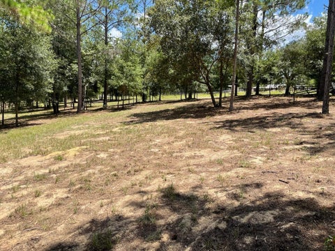 Tiny photo for Calhoun Road, Eustis, FL 32726 (MLS # O6446438)