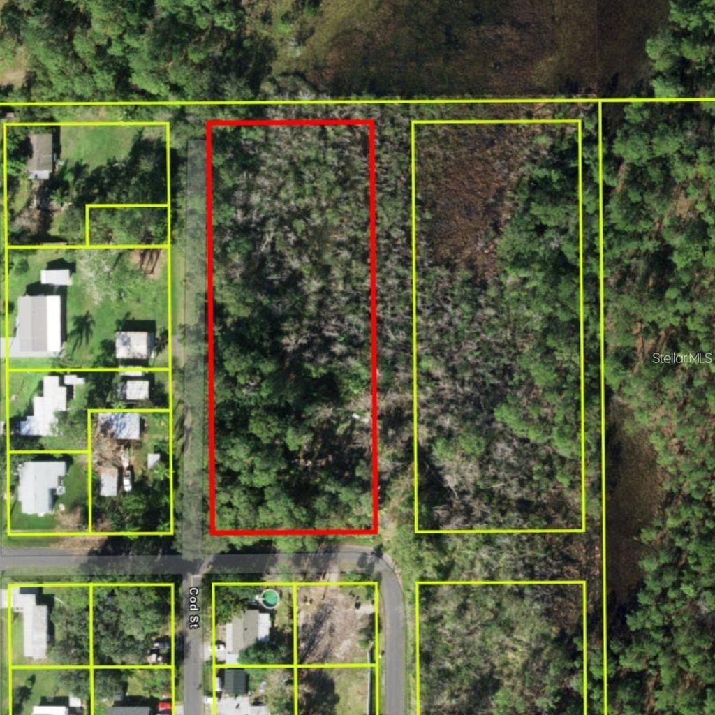 Photo of Central Avenue, Saint Cloud, FL 34771 (MLS # O6363812)