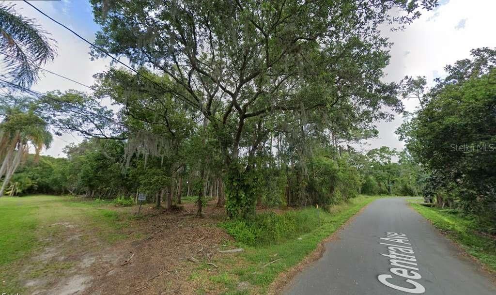 Photo of Central Avenue, Saint Cloud, FL 34771 (MLS # O6363812)