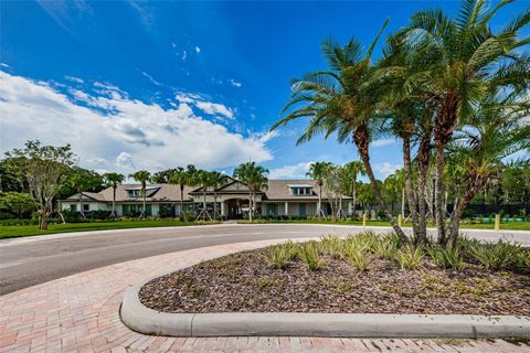 A home in TAMPA