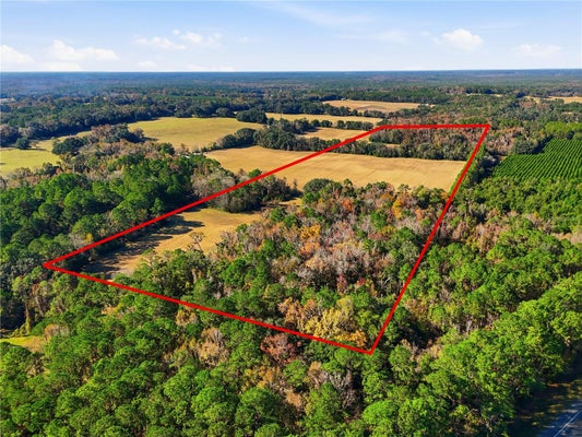 OLD BELLAMY RD, HIGH SPRINGS, FL 32643 - Image a924b110486ecbf04dfd489a7aef3042/187831459