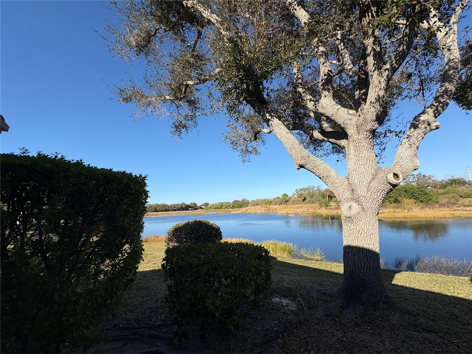 TURTLE ROCK PRCL A-2 - Residential