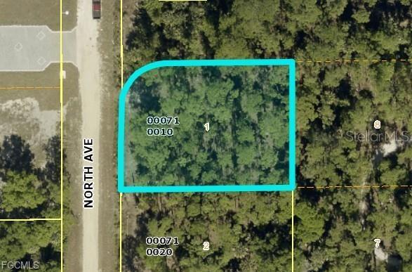 Photo of 720 North Avenue, Lehigh Acres, FL 33972 (MLS # TB8556396)