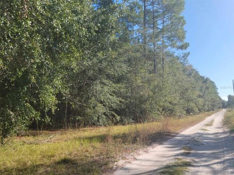 SW 61ST PLACE NEWBERRY FL 32669
