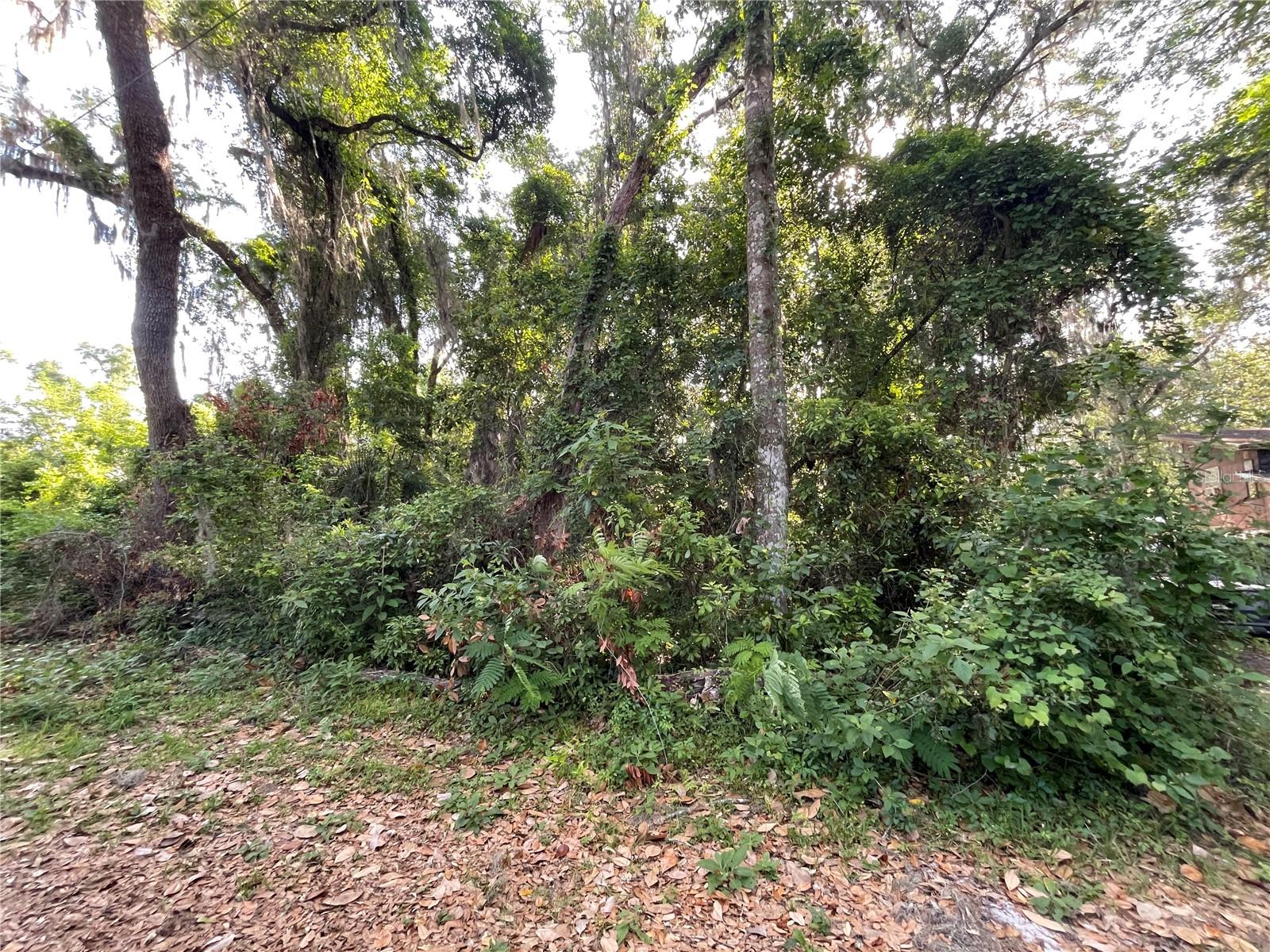 NE 37TH COURT