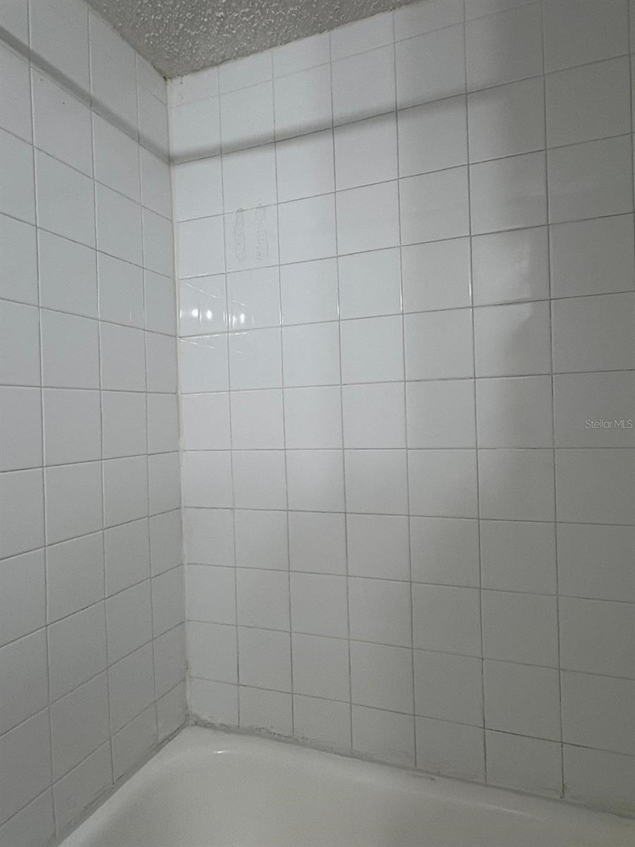 MILLENNIUM PALMS - Residential Lease