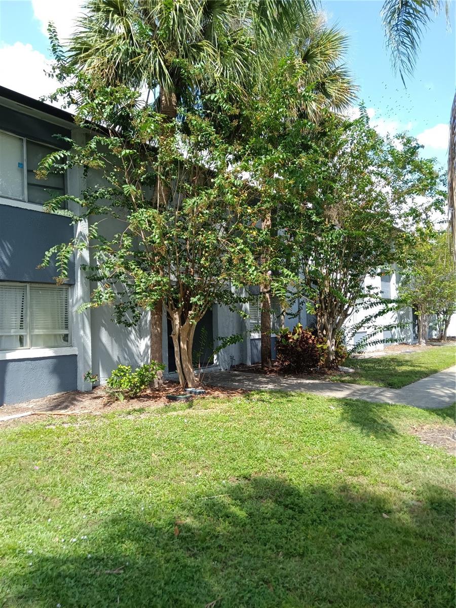 MILLENNIUM PALMS - Residential Lease