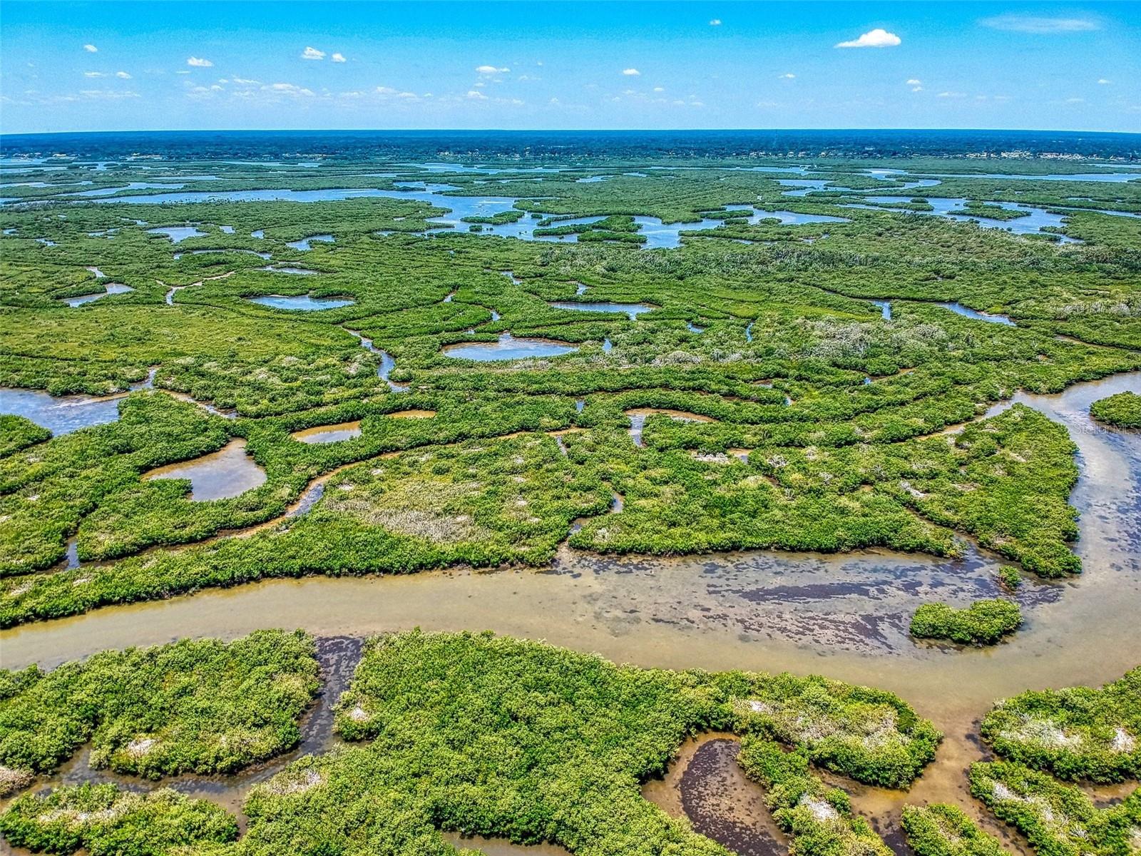 BETHUNE VOLUSIA BEACH - Land