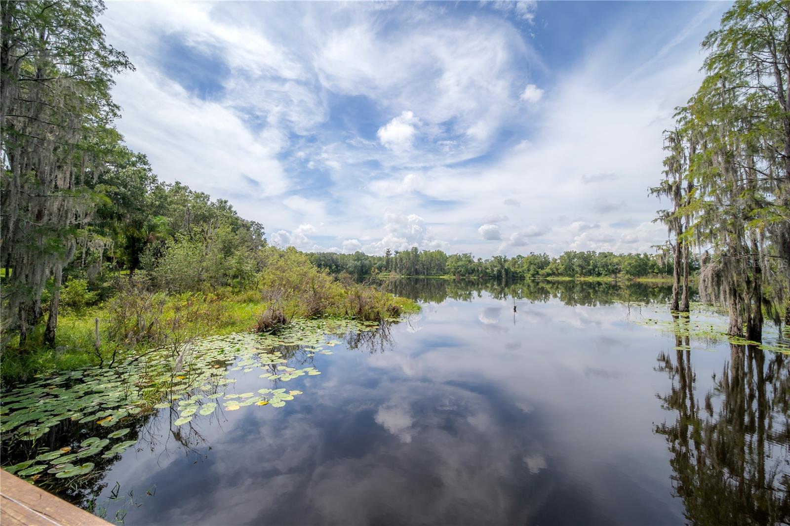LAKEVIEW/CITRUS PARK - Residential