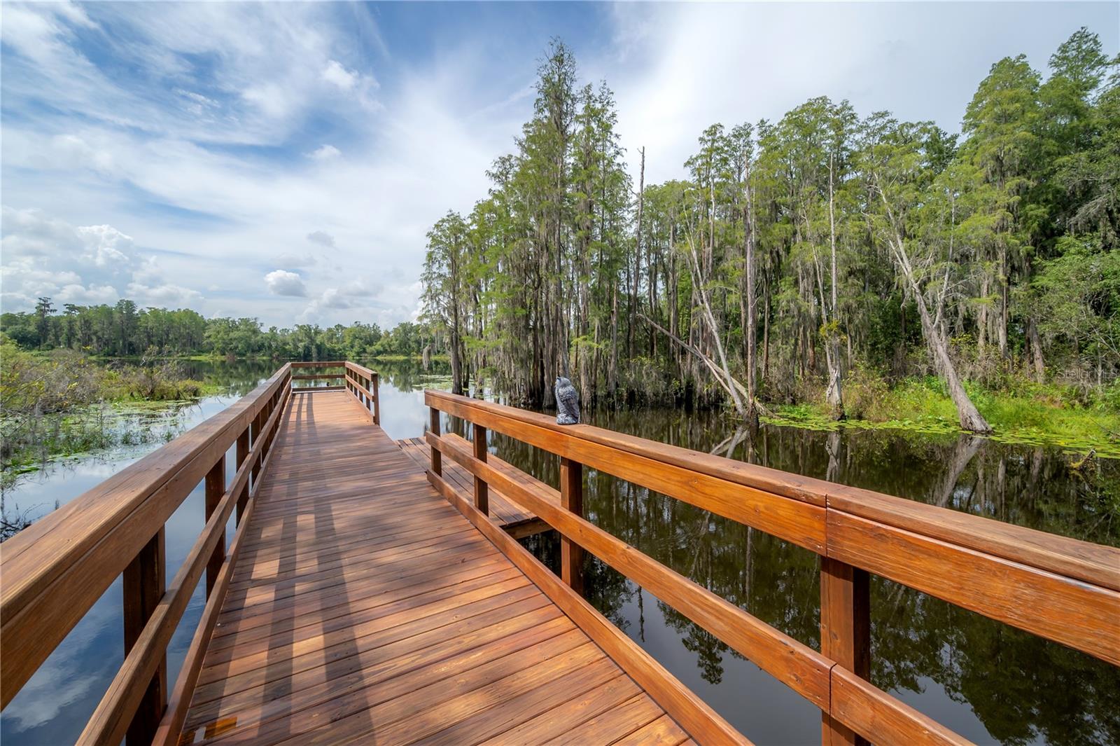 LAKEVIEW/CITRUS PARK - Residential