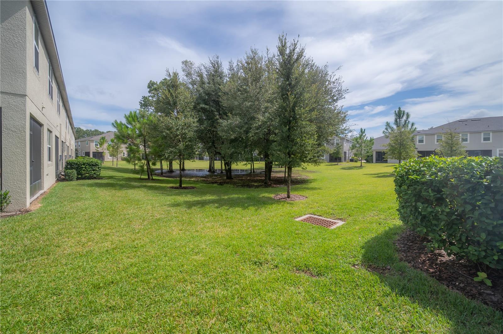 LAKEVIEW/CITRUS PARK - Residential