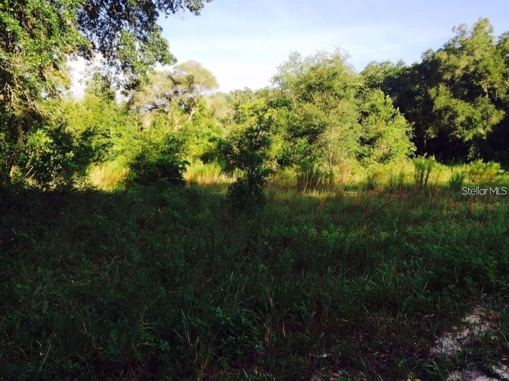 Photo of 111 Frederick Street, Interlachen, FL 32148 (MLS # G5106848)