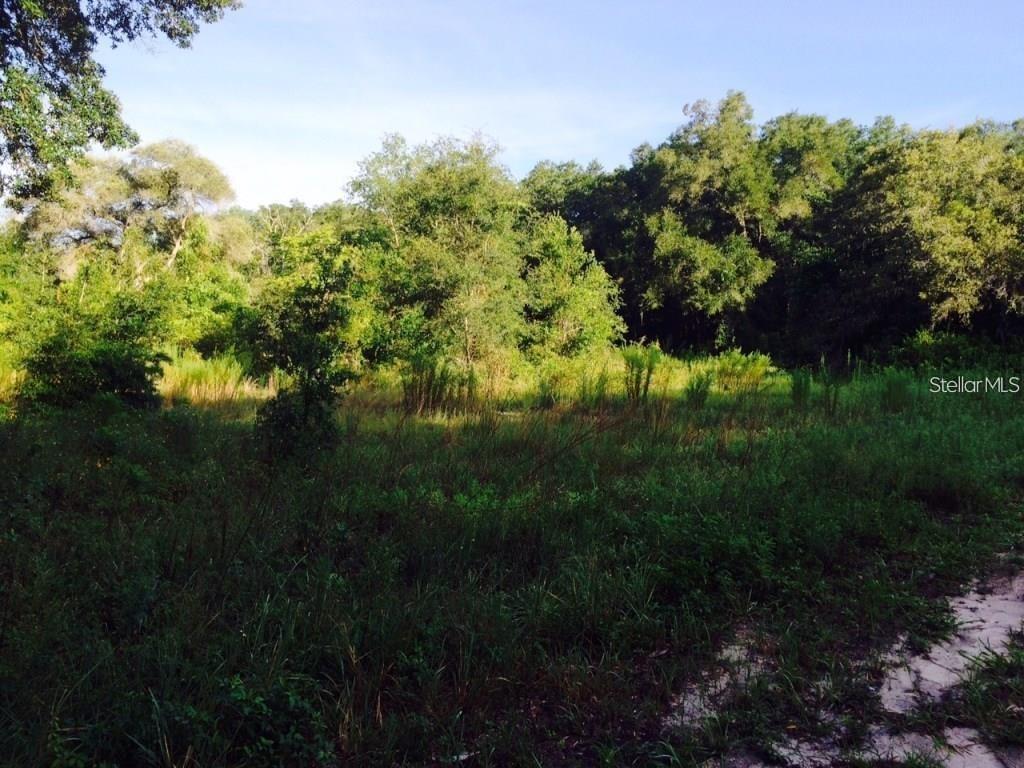 111 FREDERICK STREET