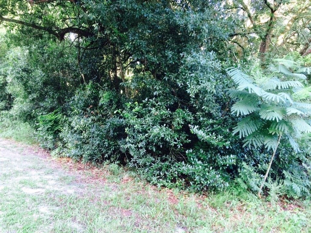 Photo of 111 Frederick Street, Interlachen, FL 32148 (MLS # G5106848)