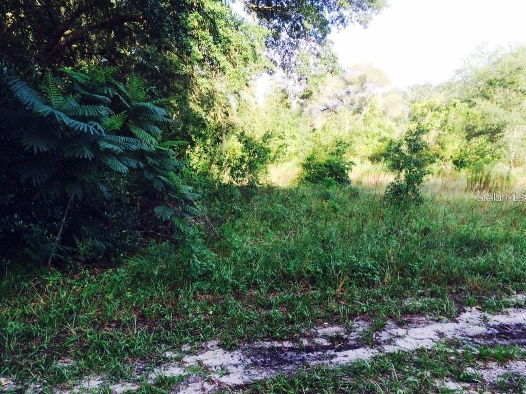 111 FREDERICK STREET