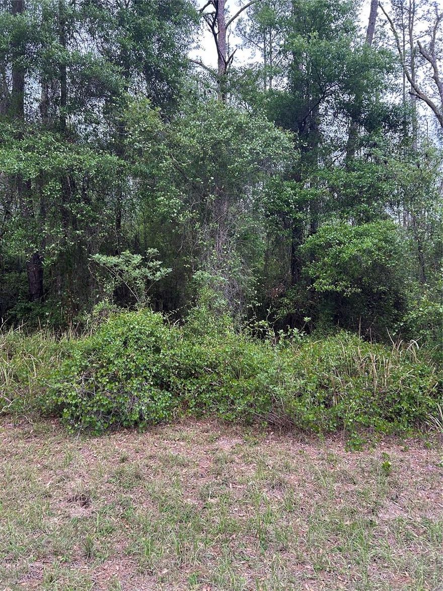 !!!!!!!!!!!!!!!!!GREAT OPORTUNITY!!!!!!!!!!!
To own a residential lot in Citrus Springs with electricity and water available. Located in a growing area, this property is perfect to build your dream home or hold as an investment. Enjoy a peaceful setting with convenient access to schools, shopping, parks and ,major roadways. NO HOA.