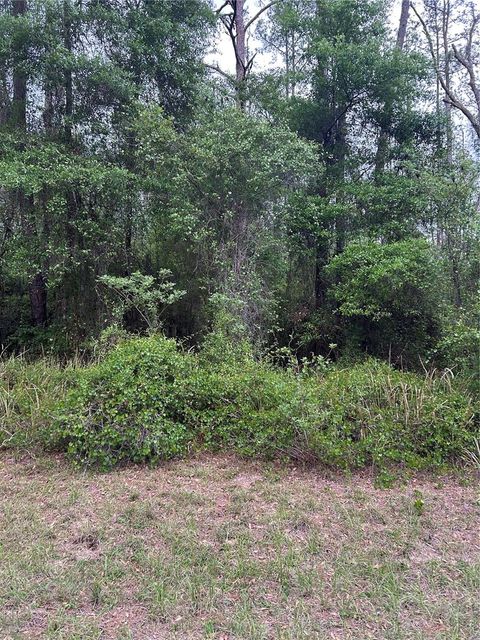 6265 N ALLSTON TERRACE DUNNELLON FL 34433