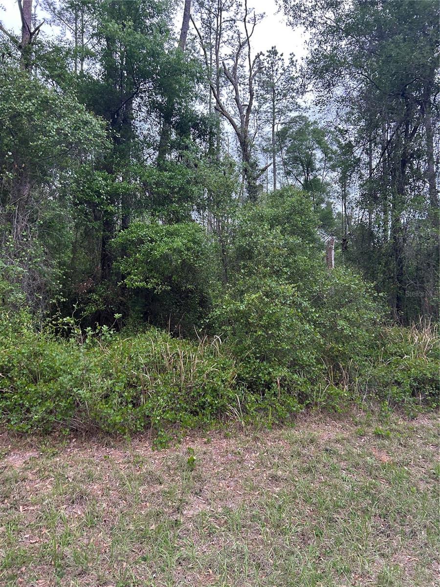 CITRUS SPGS UNIT 22 - Land