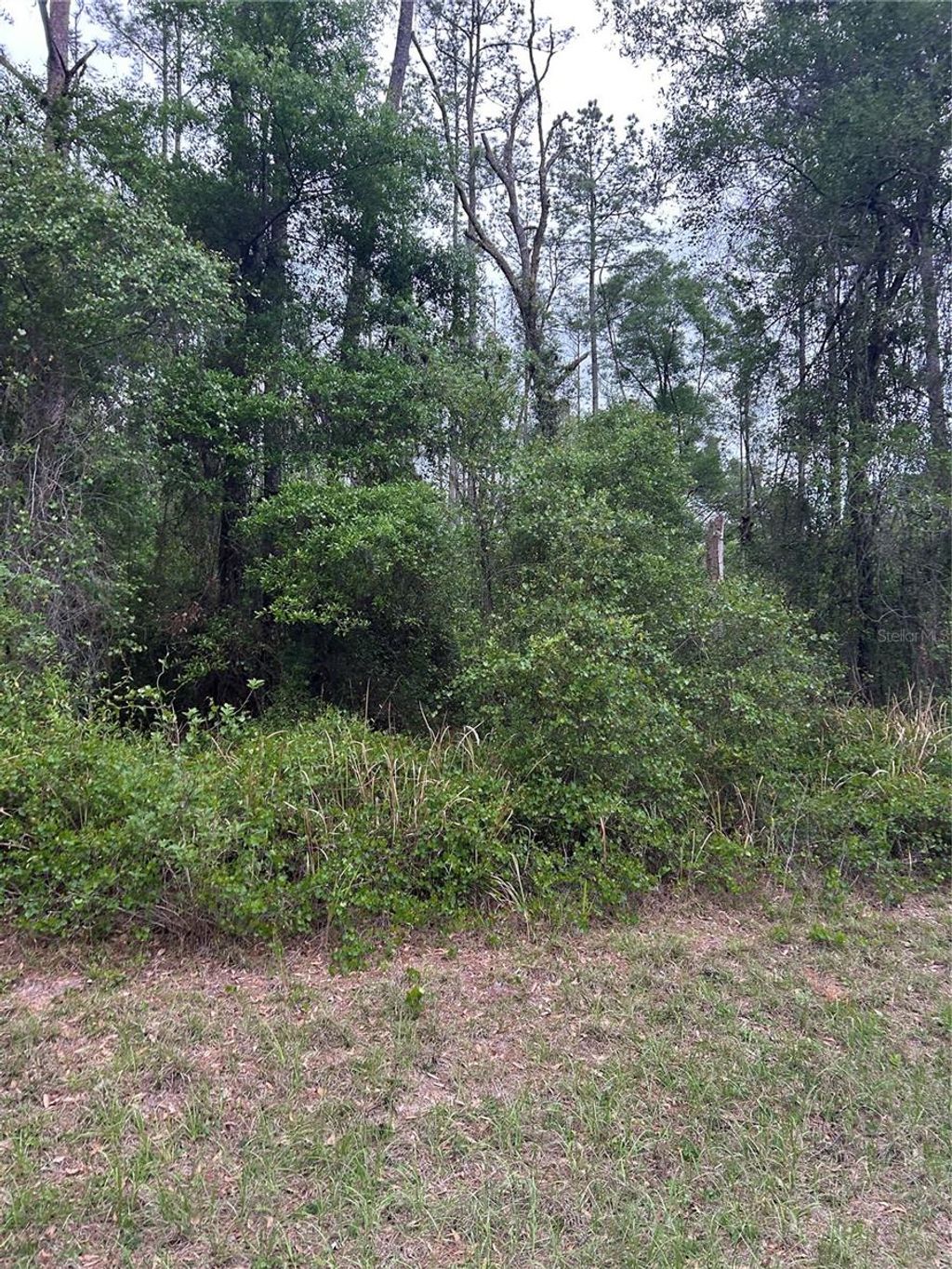 Photo of 6265 N Allston Terrace, Dunnellon, FL 34433 (MLS # S5147618)