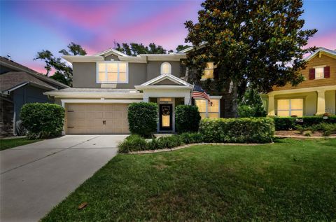 3530 BROOK CROSSING DRIVE BRANDON FL 33511