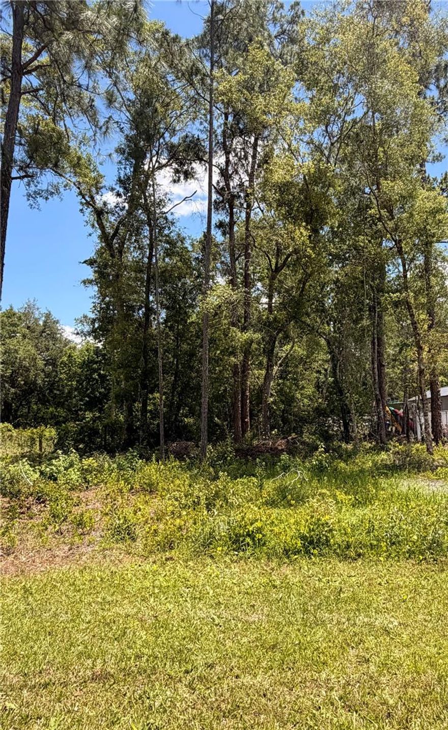 COMMERCIAL VACANT LAND in Hernando County one mile north of US HWY 301 and SR 50.  VACANT LOT is being sold AS IS.  Buyer(s) are responsible for their DUE DILIGENCE to see what can be built on the property, set backs, etc. with the Hernando County Zoning and Planning Department. Call for more information.