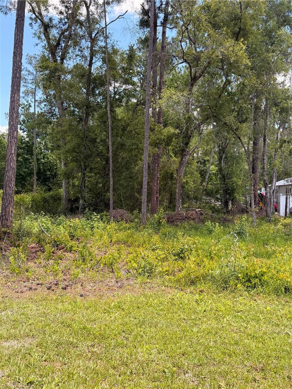 Photo of 6327 Fig Avenue, Webster, FL 33597 (MLS # TB8503753)