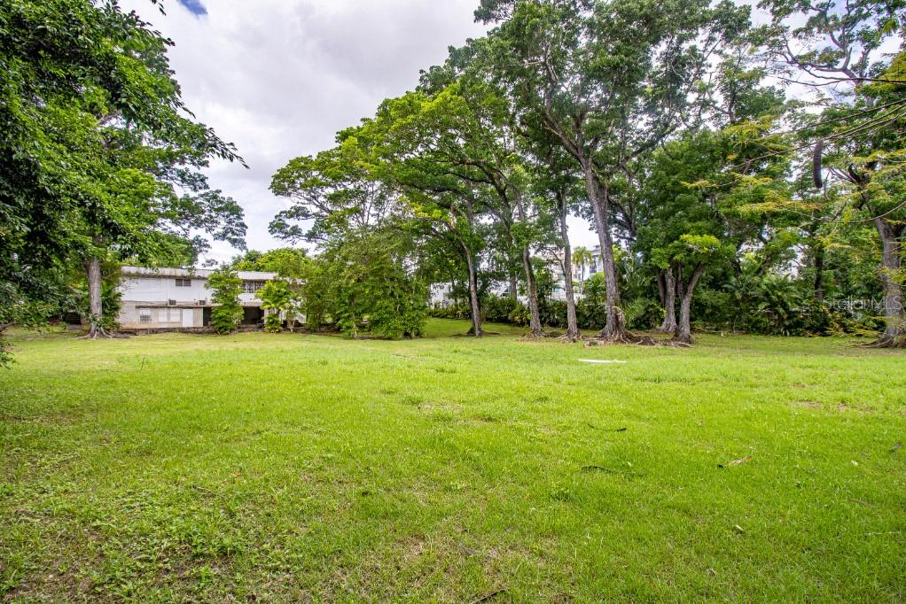 5 RIVERA FERRER, SAN PATRICIO