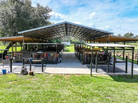 Tiny photo for 3875 SE 118th Lane, Belleview, FL 34420 (MLS # G5101776)