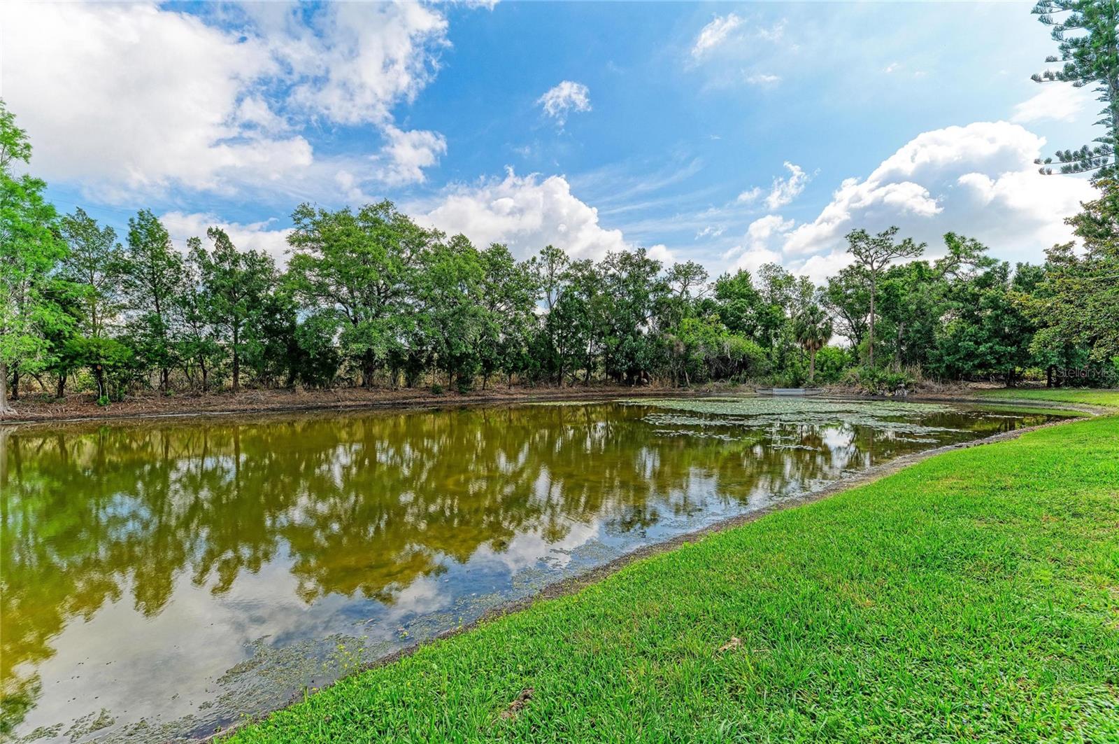 SUMMERFIELD VILLAGE SUBPHASE C U5A - Residential